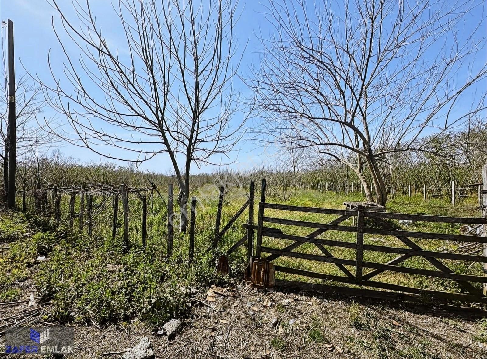Zafer Emlak'tan Satılık 6.835 M2 Tarla