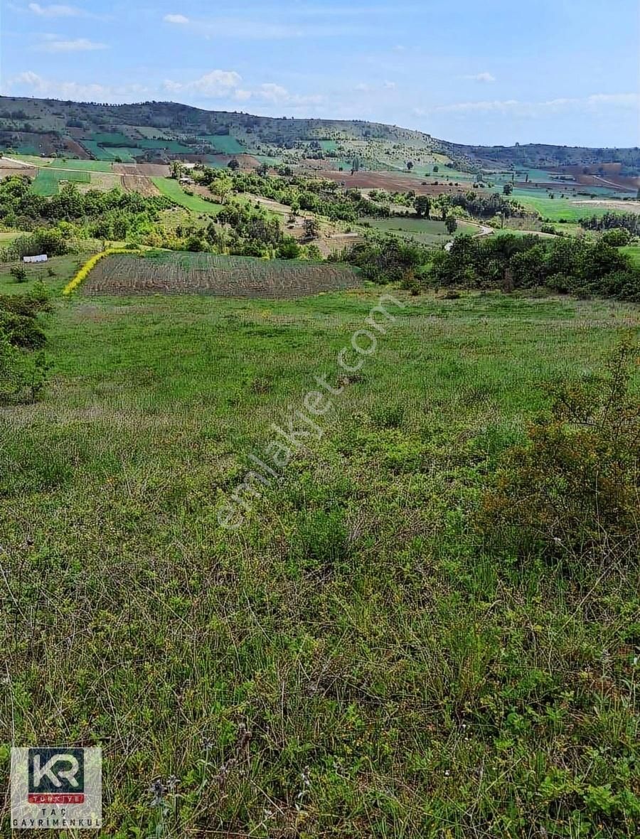 Kr Taç Yenişehir Süleymaniye De Yatırımlık 5000 M2 Tarla - Görsel 2