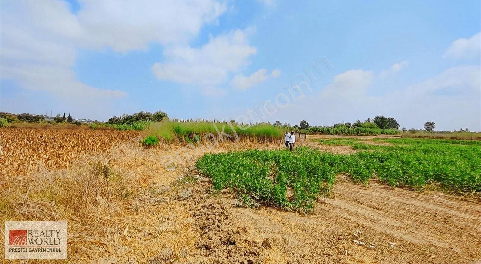 Mandırlar Da Satılık Arsa 321 Metre Kare