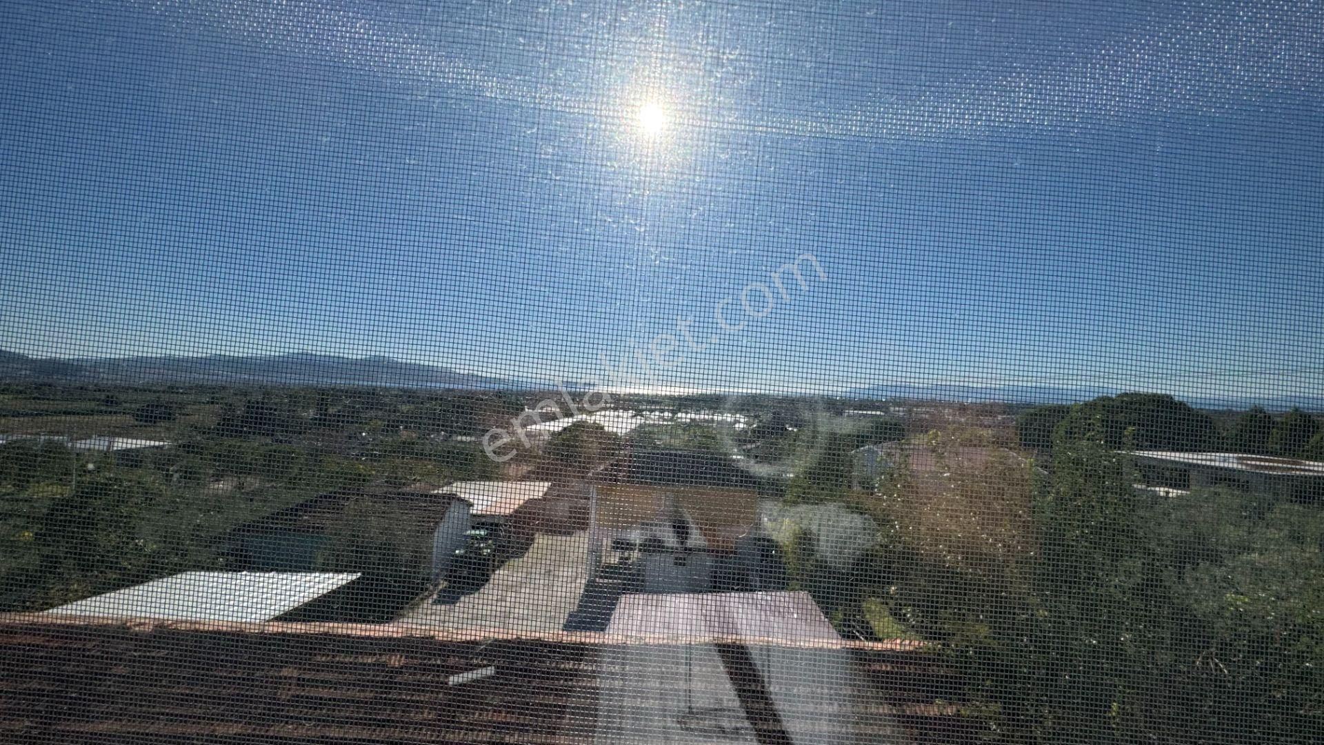 Dikili Kabakumda Köy İçi Deniz Manzaralı 135 M2 3+1 Satılık Müstakil Villa - Görsel 13