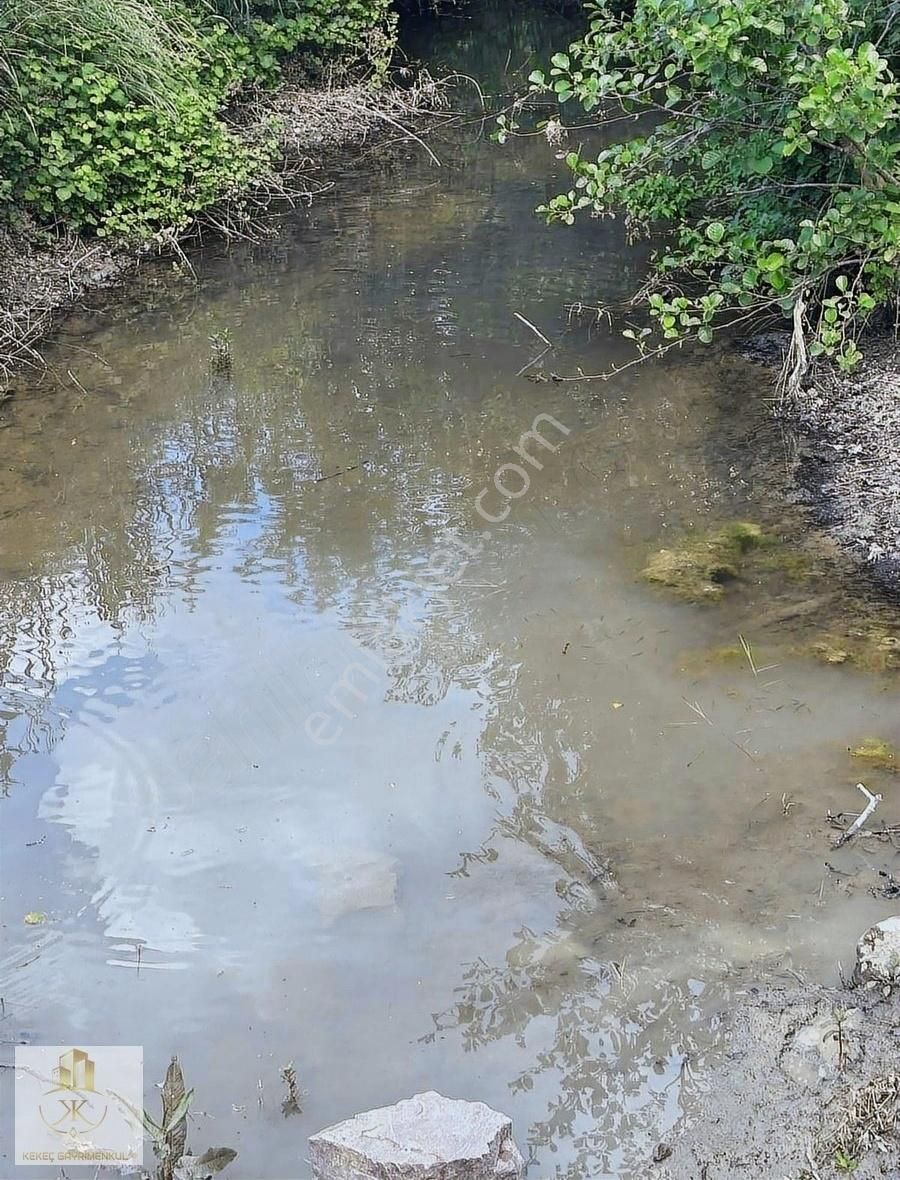 Kocaeli Derince Kaşıkçı Köyü Satılık Kelepir Tarla950