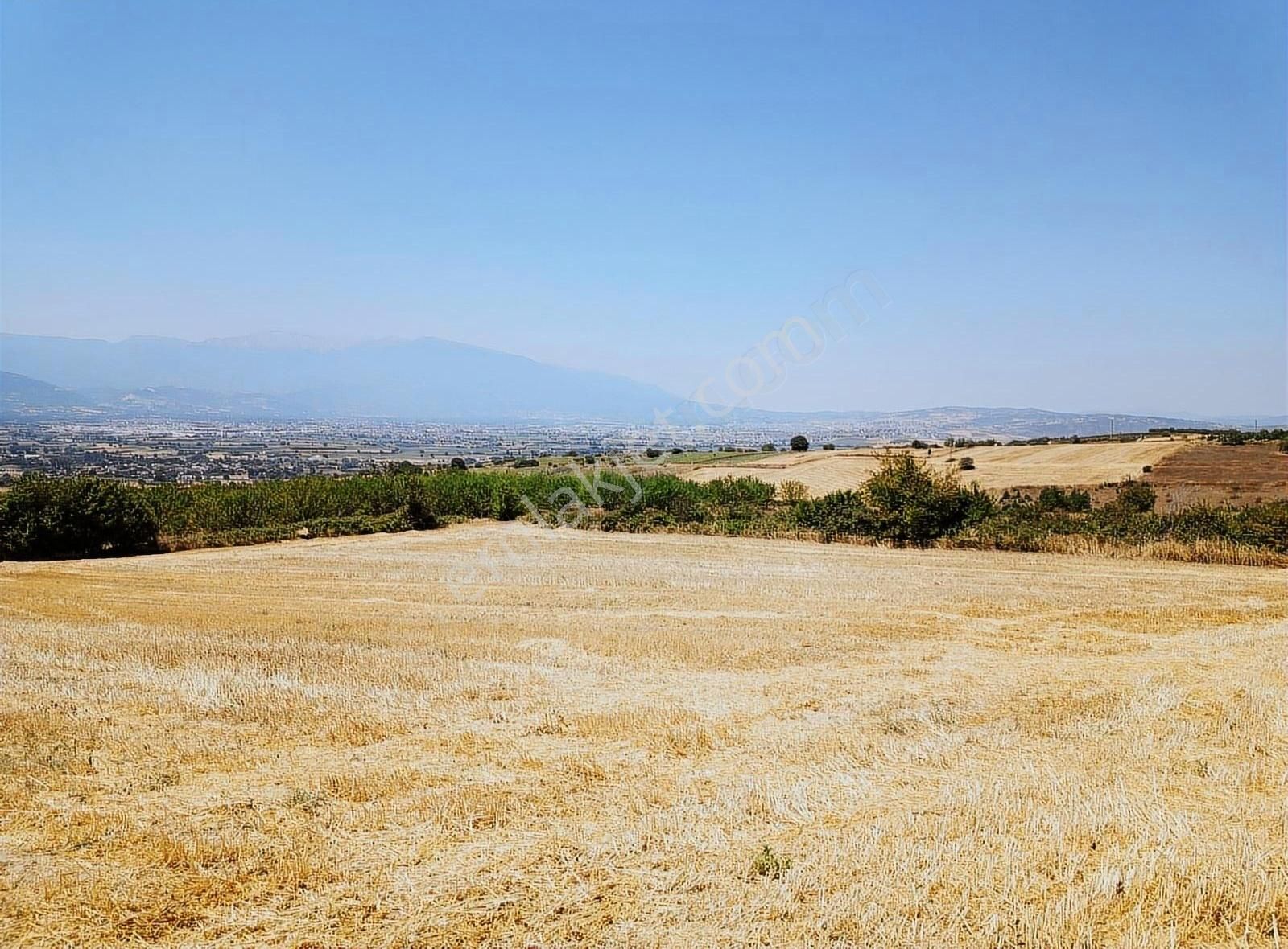 İnegöl Yiğit Mahallesi'nde Satılık Tarla