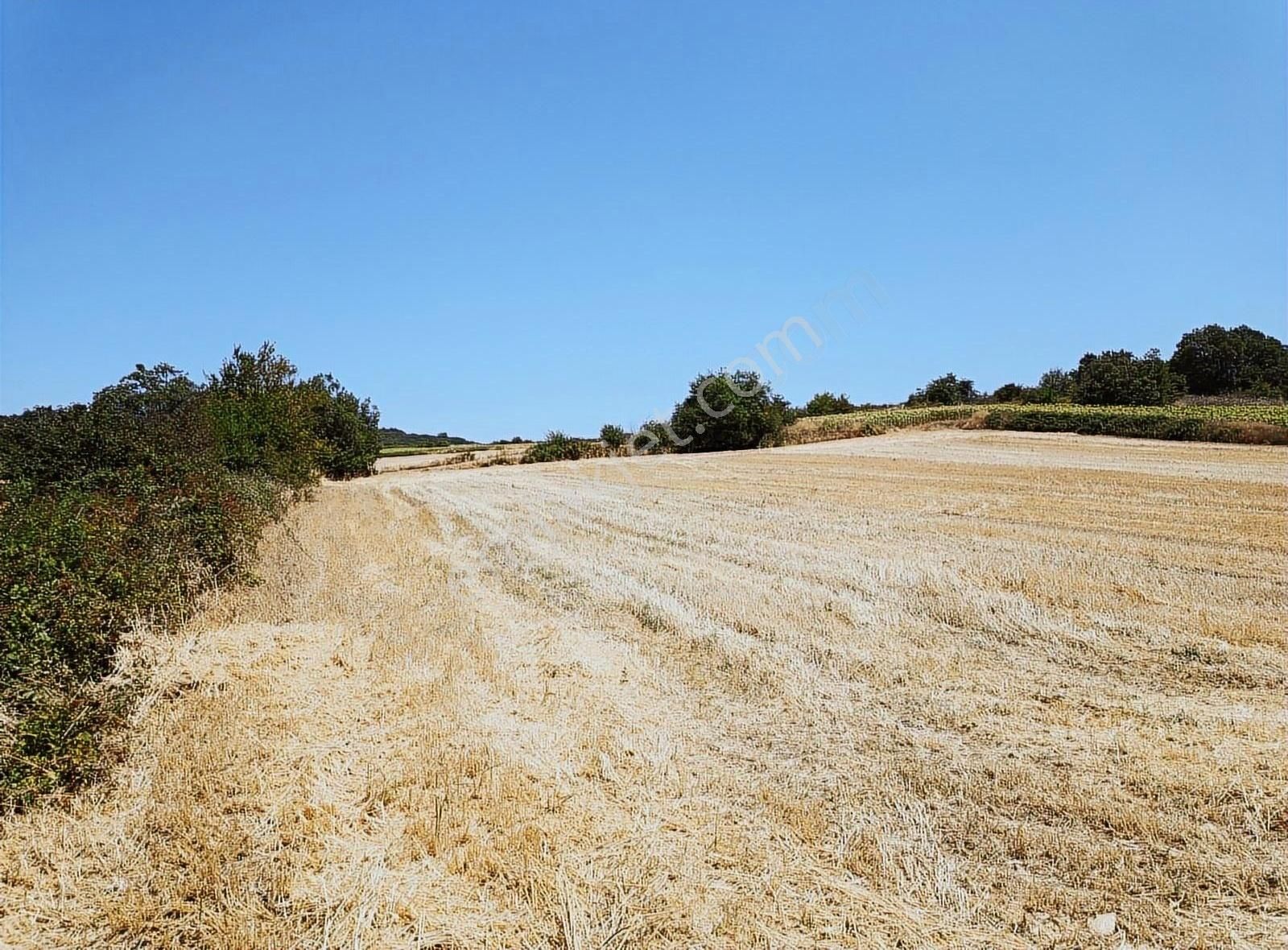 İnegöl Yiğit Mahallesi'nde Satılık Tarla - Görsel 2