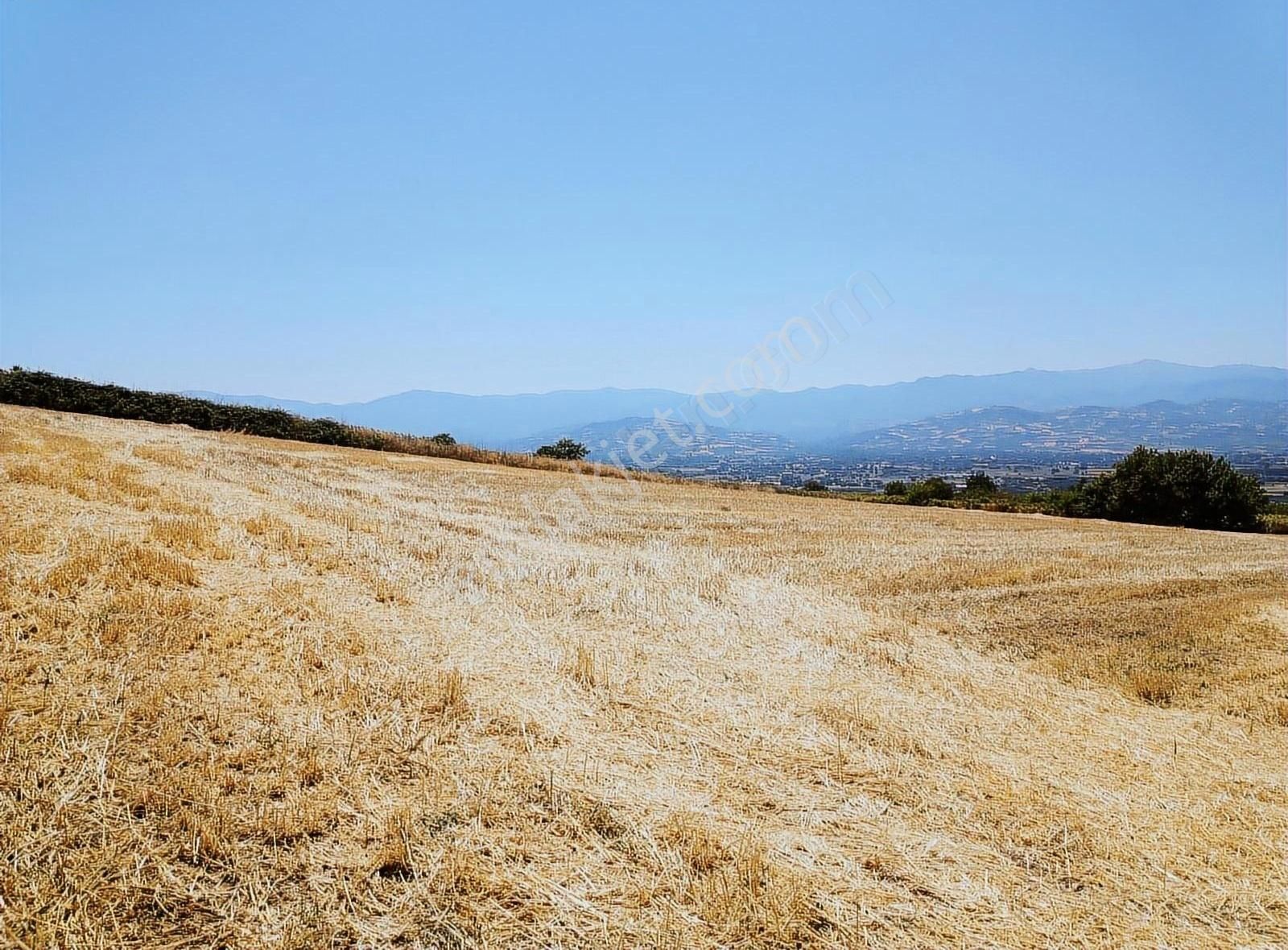 İnegöl Yiğit Mahallesi'nde Satılık Tarla - Görsel 5