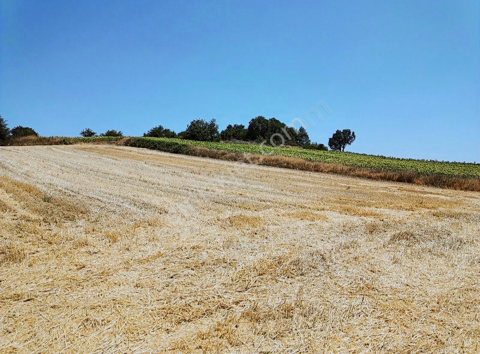 İnegöl Yiğit Mahallesi'nde Satılık Tarla - Görsel 10