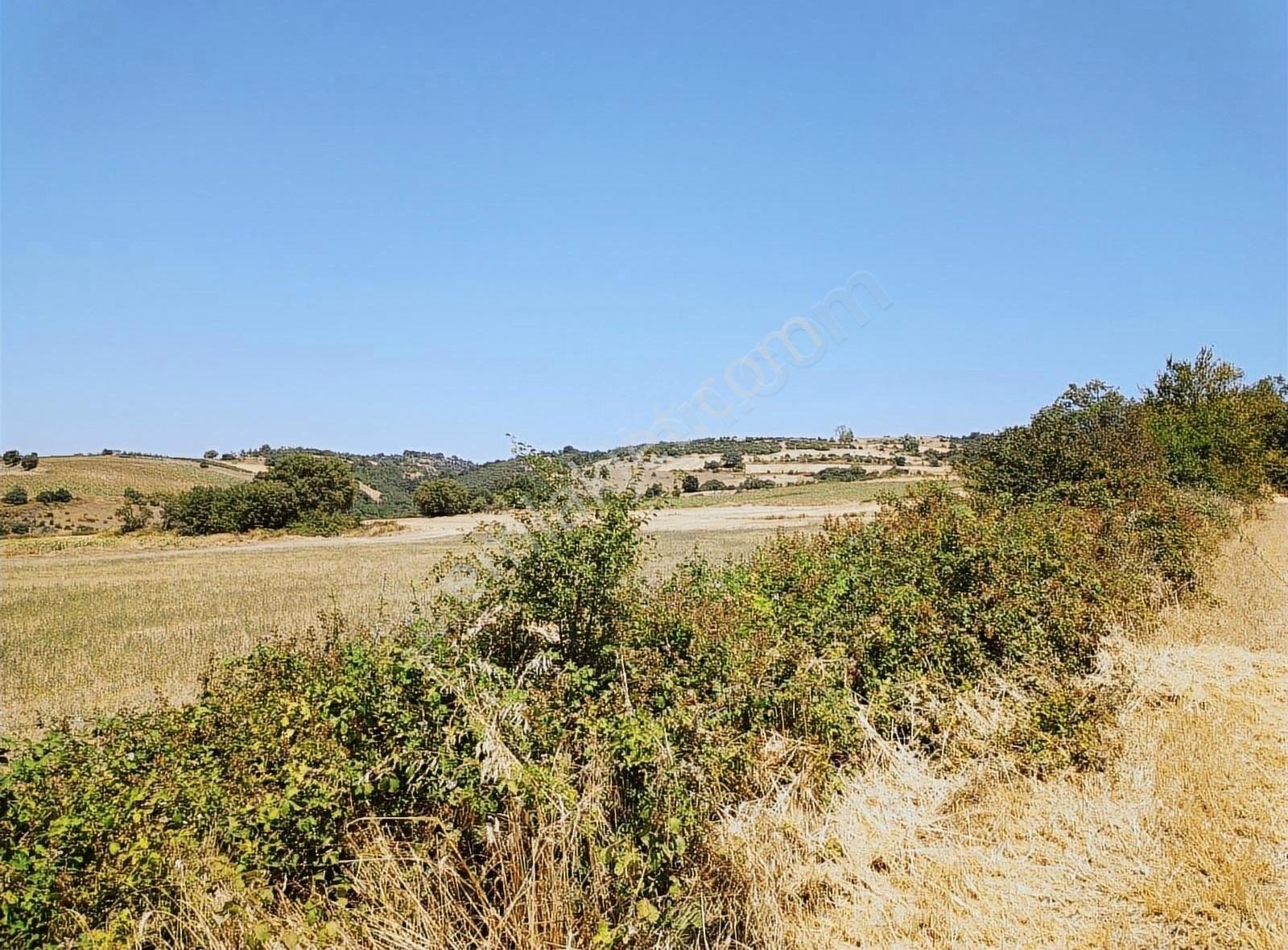 İnegöl Yiğit Mahallesi'nde Satılık Tarla - Görsel 8