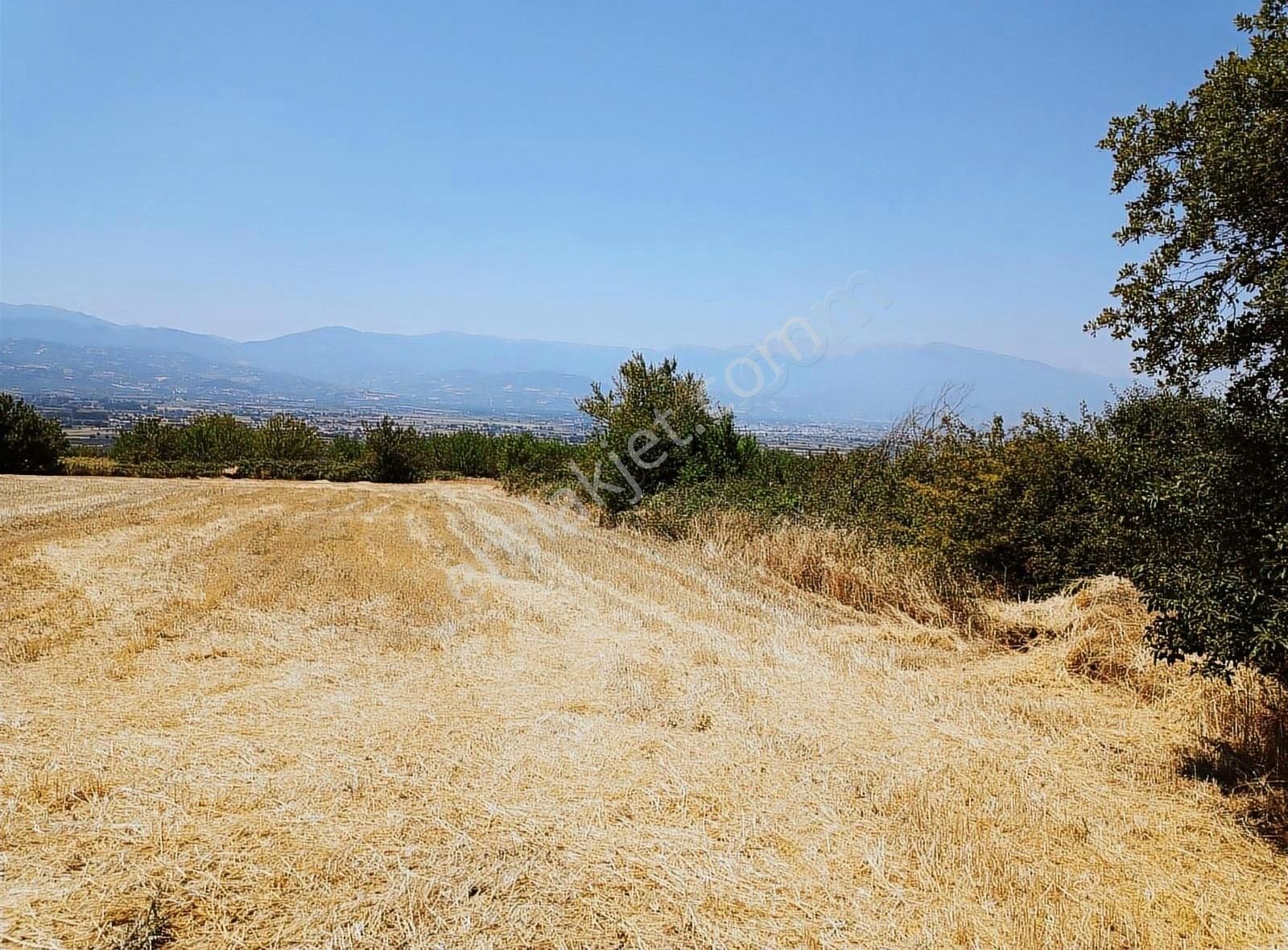 İnegöl Yiğit Mahallesi'nde Satılık Tarla - Görsel 9