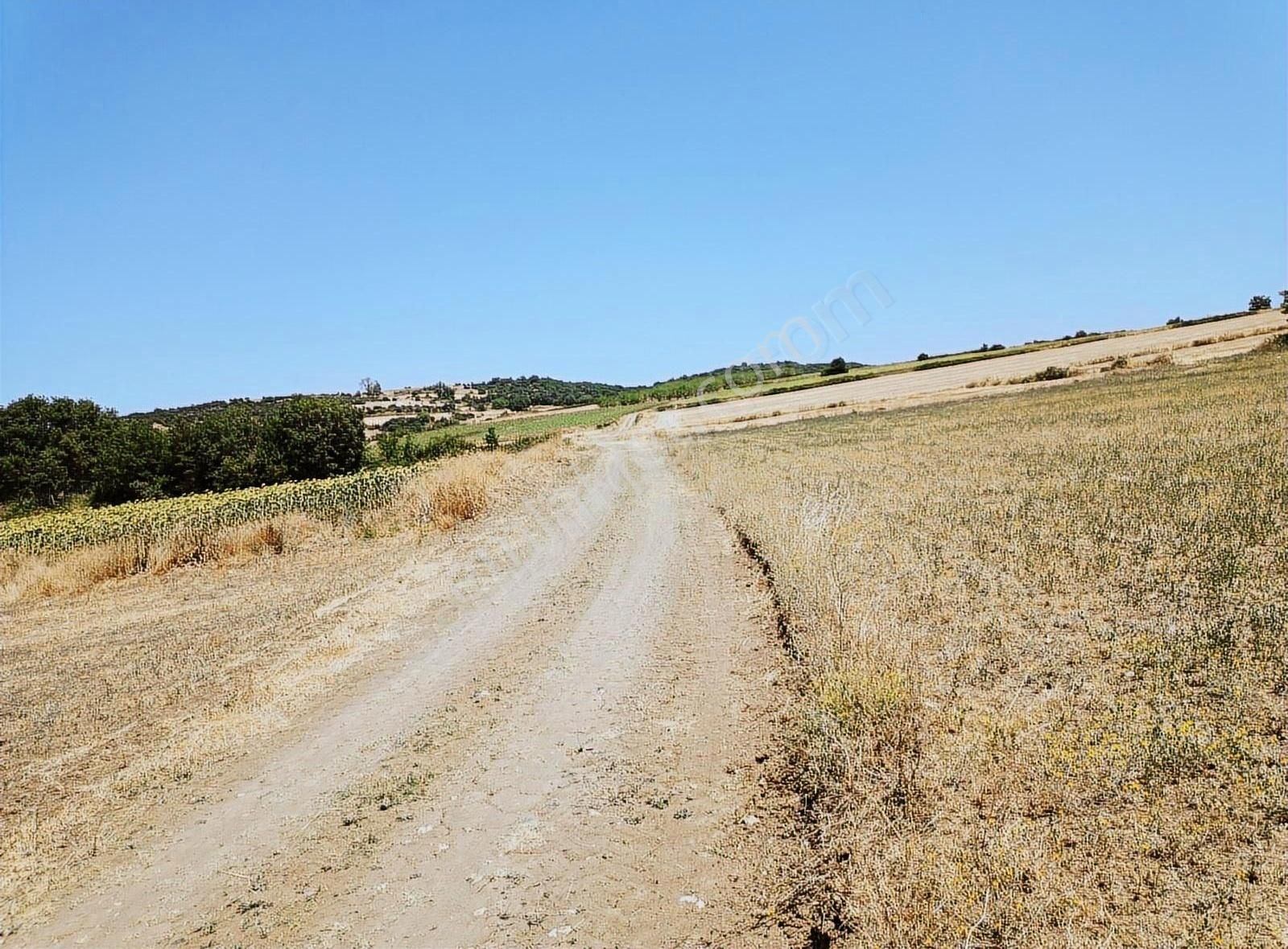 İnegöl Yiğit Mahallesi'nde Satılık Tarla - Görsel 7