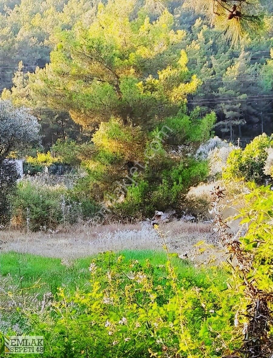 Marmarisin Turgut Mahallesi'nde Muhteşem Doğa İçinde Tarla. - Görsel 2