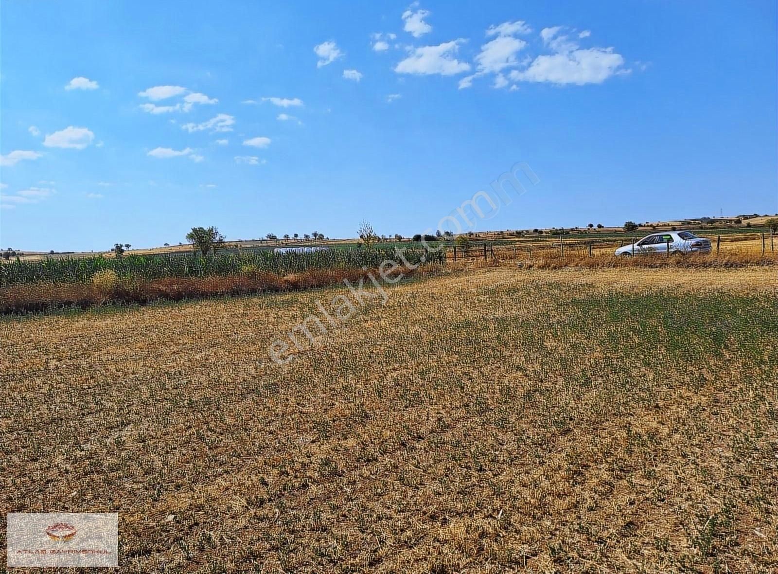 Satılık Tarla