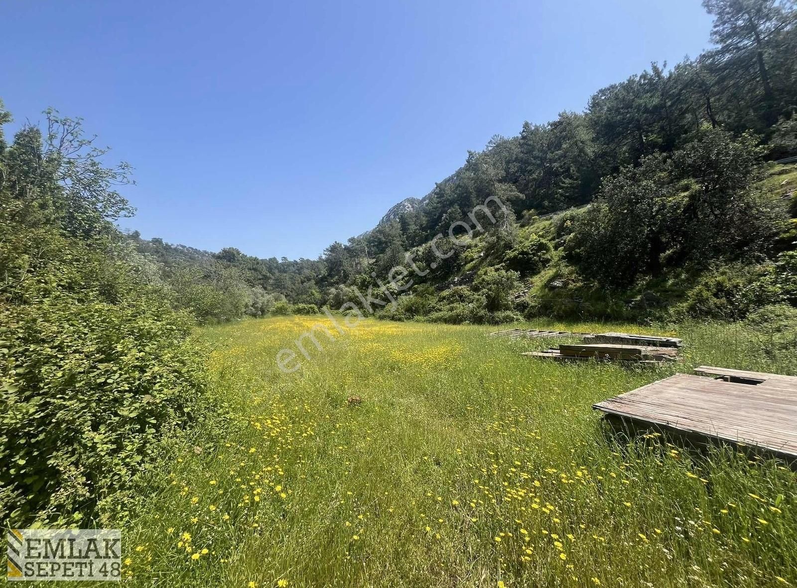 Denize 50 Metre Mesafede Muhteşem 3350 M2 Arazi Acill Satılık