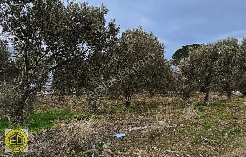 Emlak Durağı'ndan Denize 250 Metre Mesafede 301 M² Arsa - Görsel 2