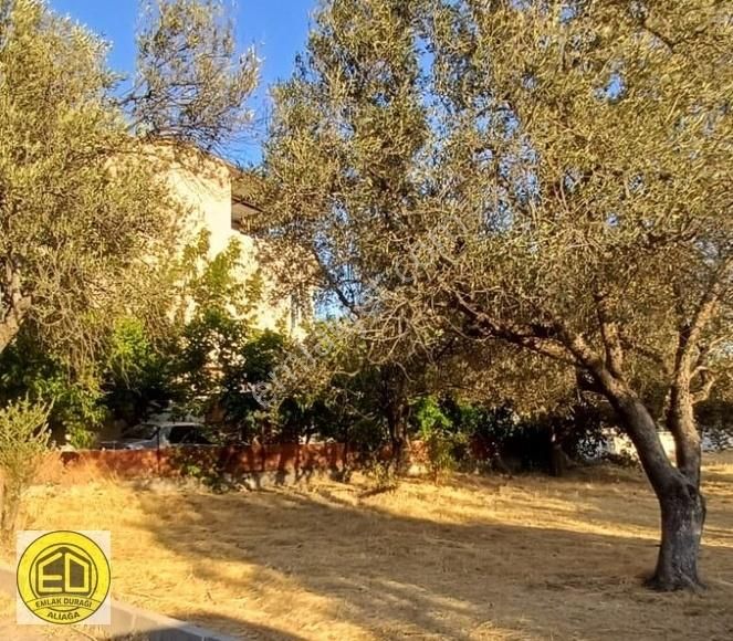 Emlak Durağı'ndan Denize 250 Metre Mesafede 301 M² Arsa - Görsel 7