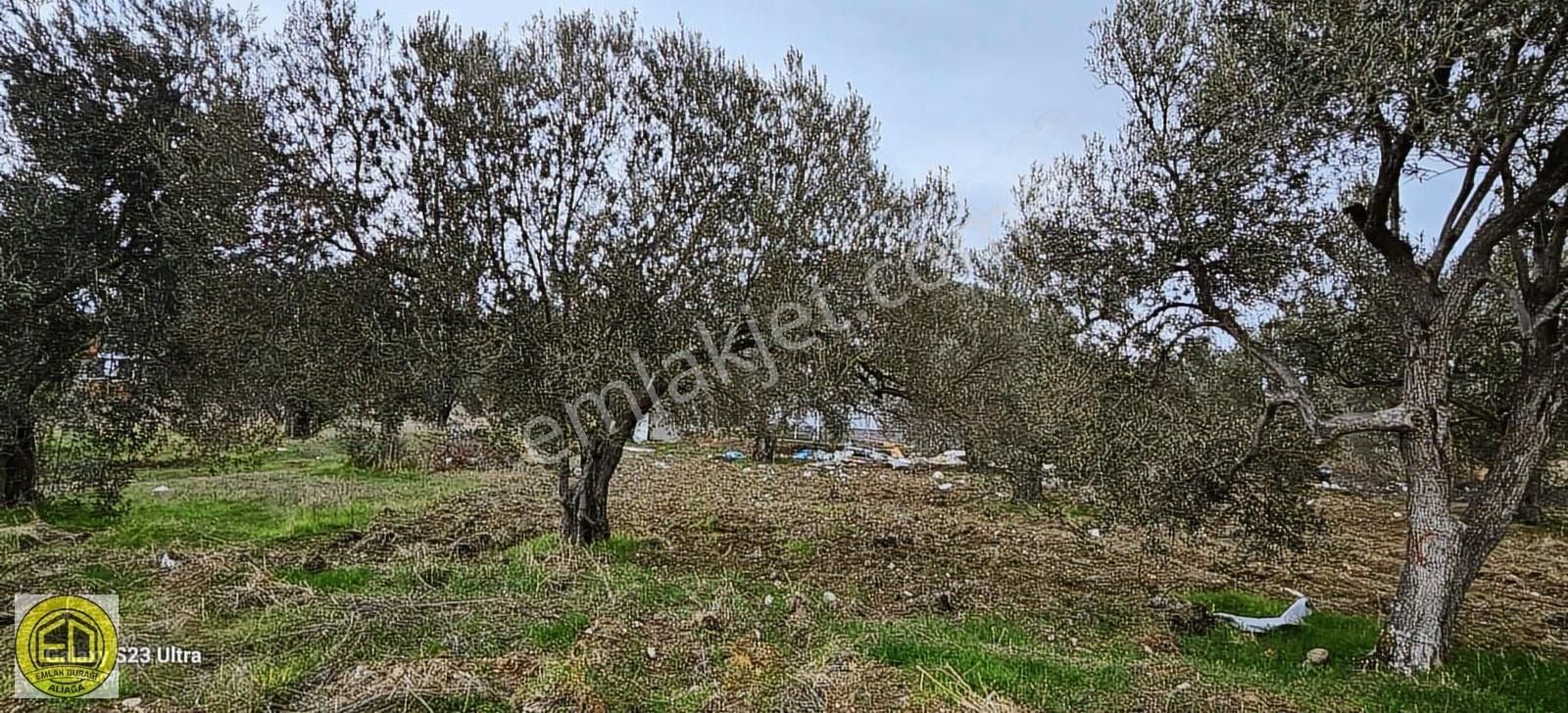 Emlak Durağı'ndan Denize 250 Metre Mesafede 301 M² Arsa - Görsel 8