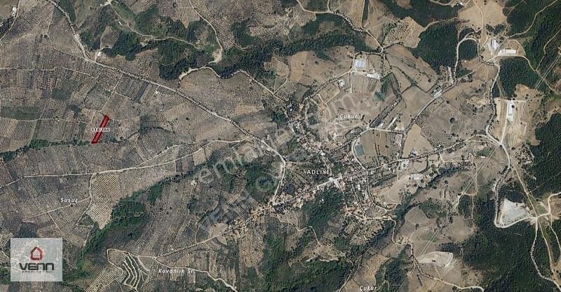 Gemlik Adliye Köyü 2.363 M2 Satılık Zeytinlik - Görsel 3