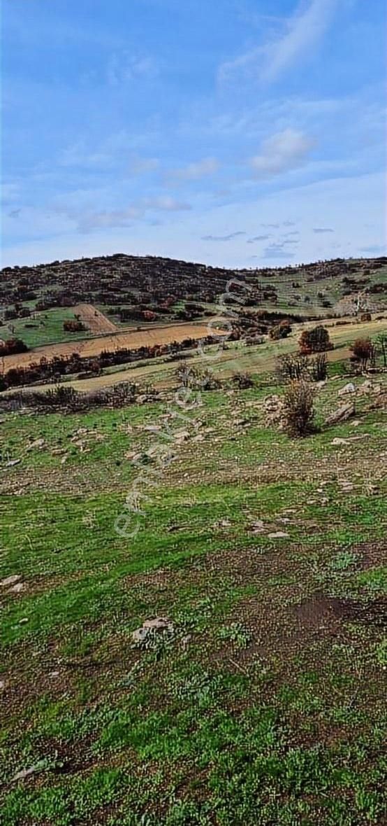 Uşak Eşme De Beşyol Emlaktan Satılık 21 Dönüm Ges &tarım Arazisi - Görsel 5