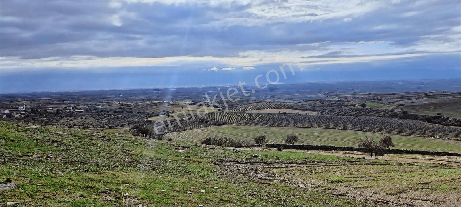 Uşak Eşme De Beşyol Emlaktan Satılık 21 Dönüm Ges &tarım Arazisi - Görsel 2
