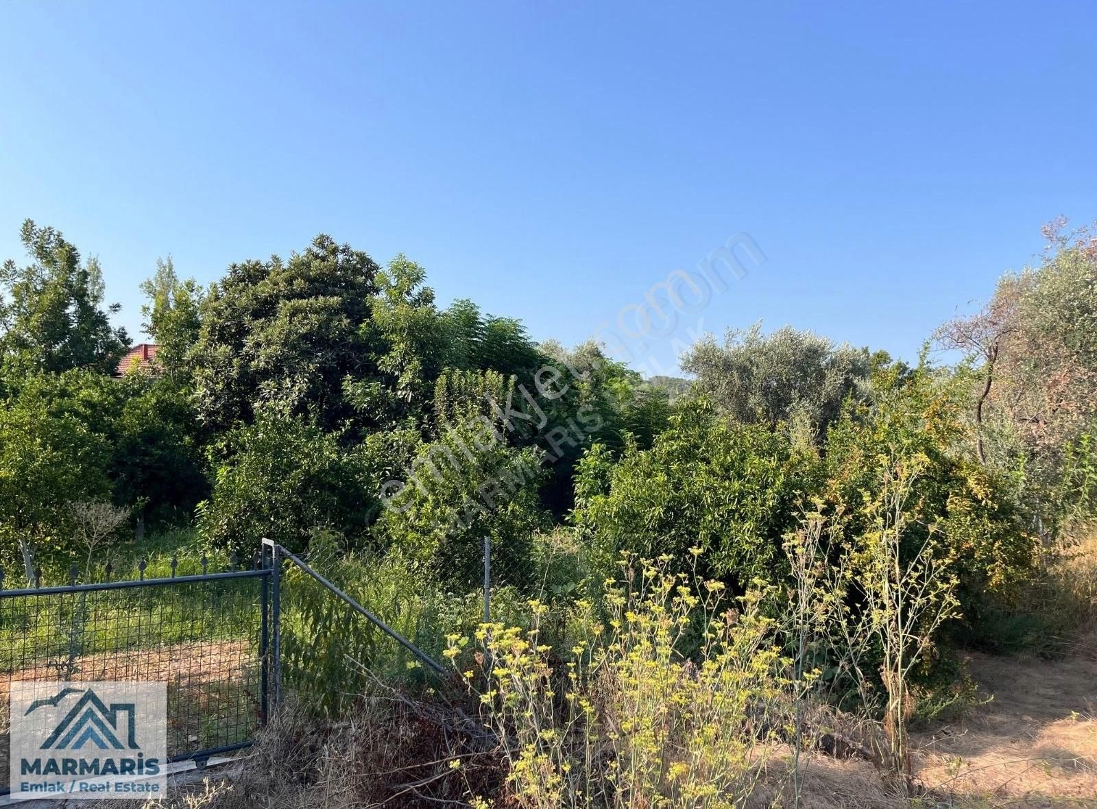 Köyceğiz Zeytinalanı Mah.satılık Ev Arsa - Görsel 11