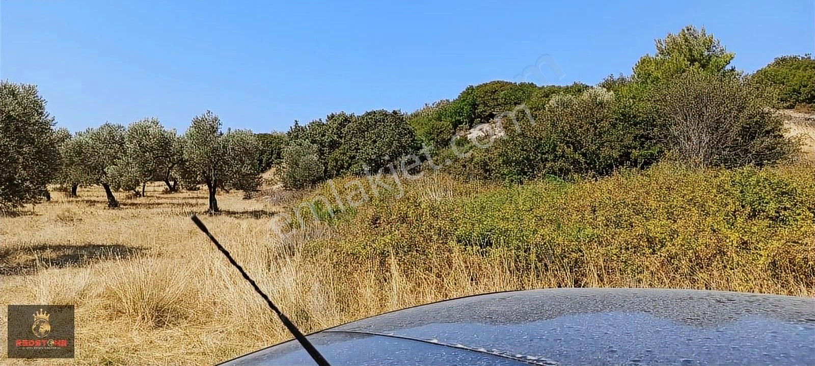 Çanakkale Ezine Alemşah Ta Denize Sıfır Şahane Tarla - Görsel 7