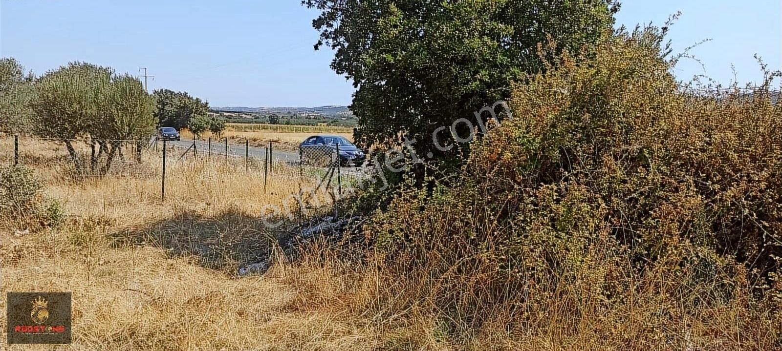 Çanakkale Ezine Alemşah Ta Denize Sıfır Şahane Tarla - Görsel 8