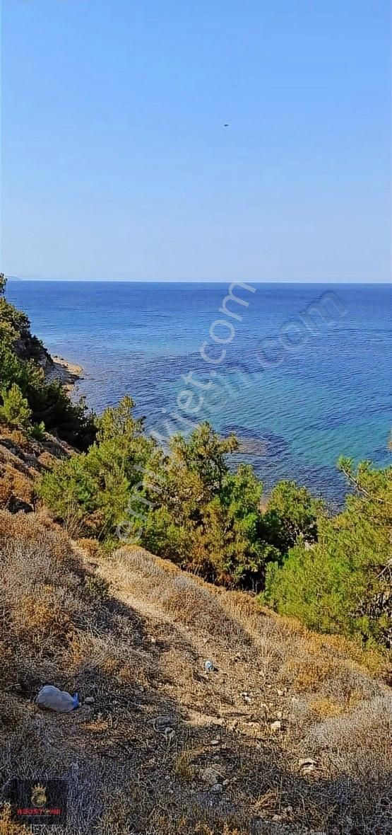 Çanakkale Ezine Alemşah Ta Denize Sıfır Şahane Tarla - Görsel 5