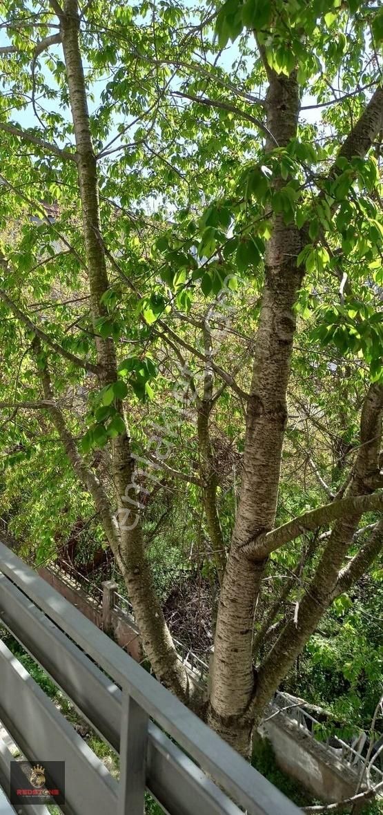 Tekirdağ Altınova Da Yazlık 2+1 Yenilenmiş Daire - Görsel 7