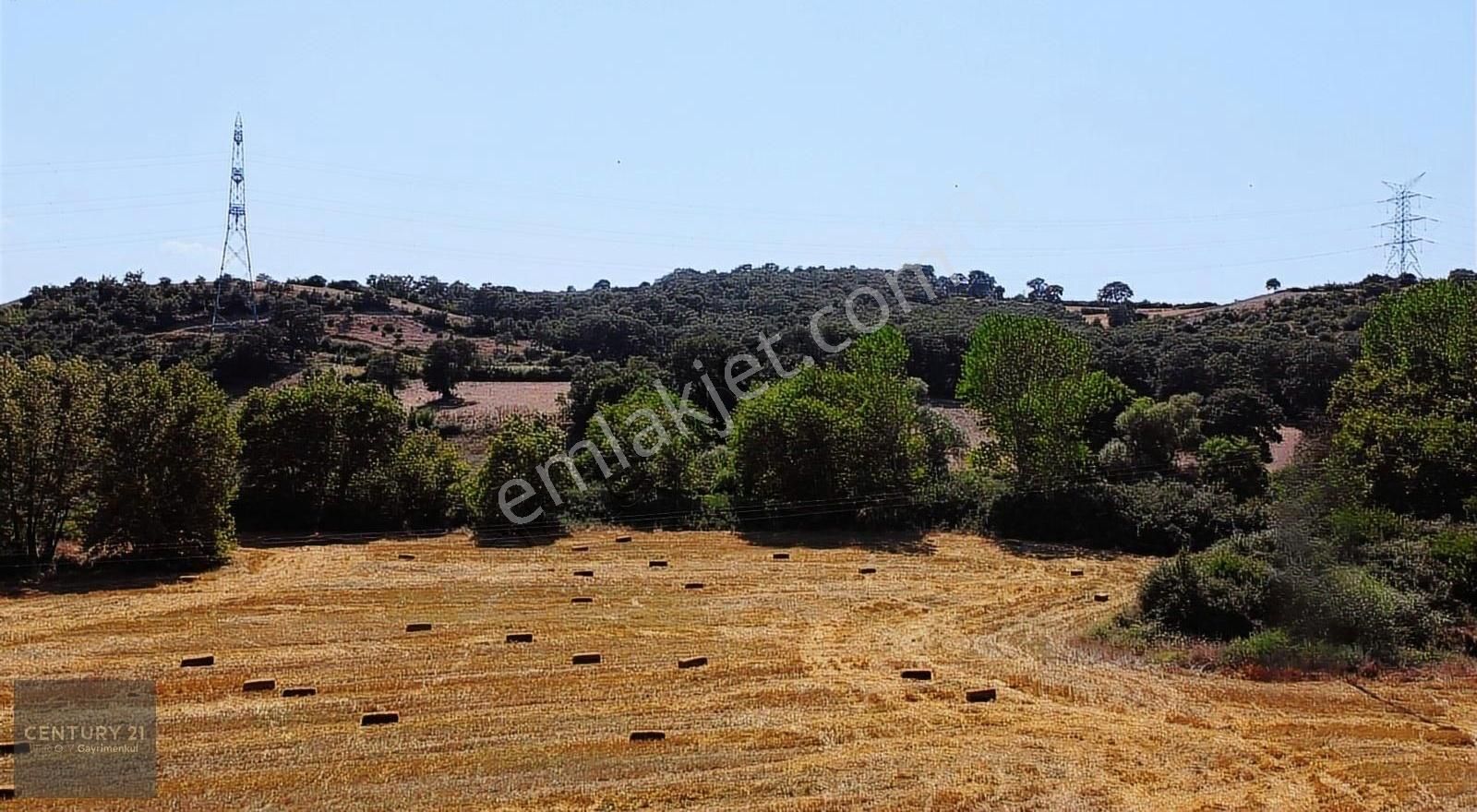 Satılık 43.750 M² Yatırımlık Tarla Yaya Köyü / Çanakkale