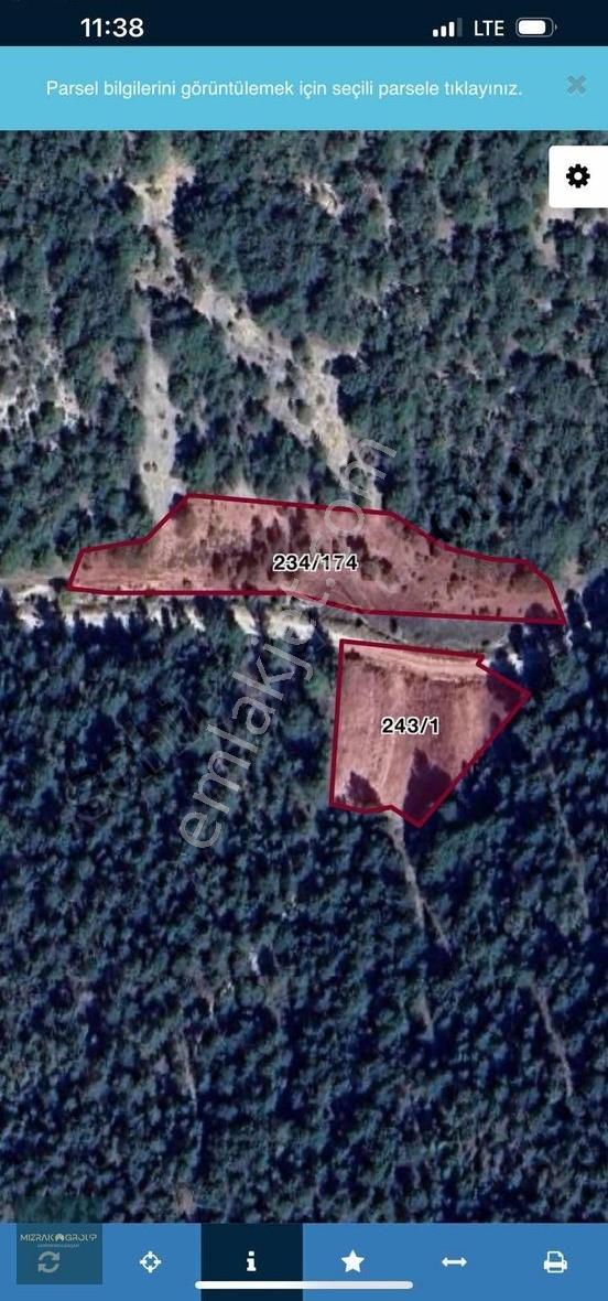 Keles Kocakovacık Yola Cephe Düz Tek Tapu Tarla 3218 M2 - Görsel 4