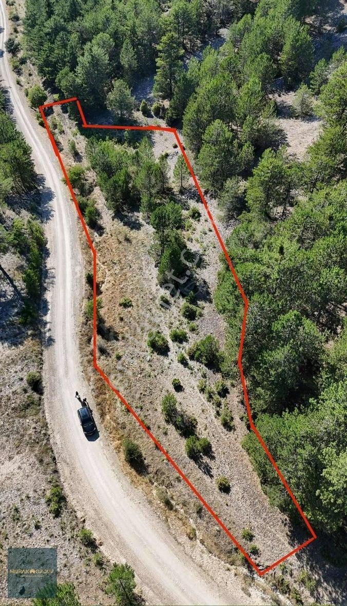 Keles Kocakovacık Yola Cephe Düz Tek Tapu Tarla 3218 M2 - Görsel 6