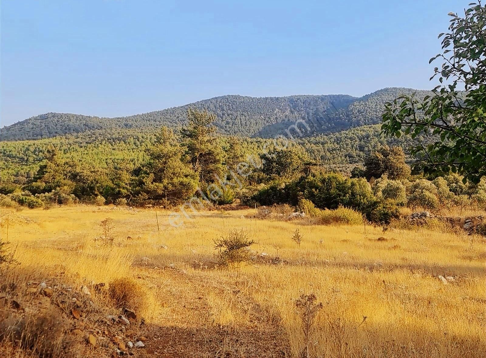 Gökben Mh.2074 M2 Tarla. - Görsel 14