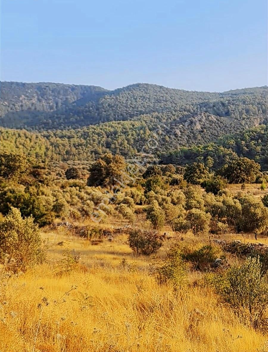 Gökben Mh.2074 M2 Tarla. - Görsel 5
