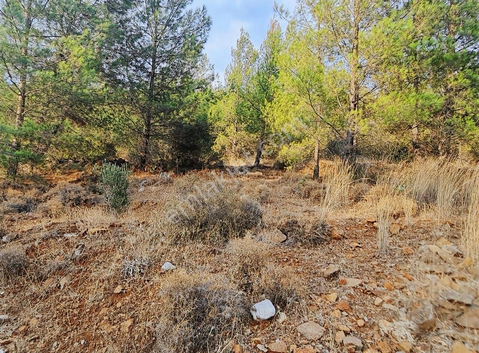 Gökben Mh.2074 M2 Tarla. - Görsel 2