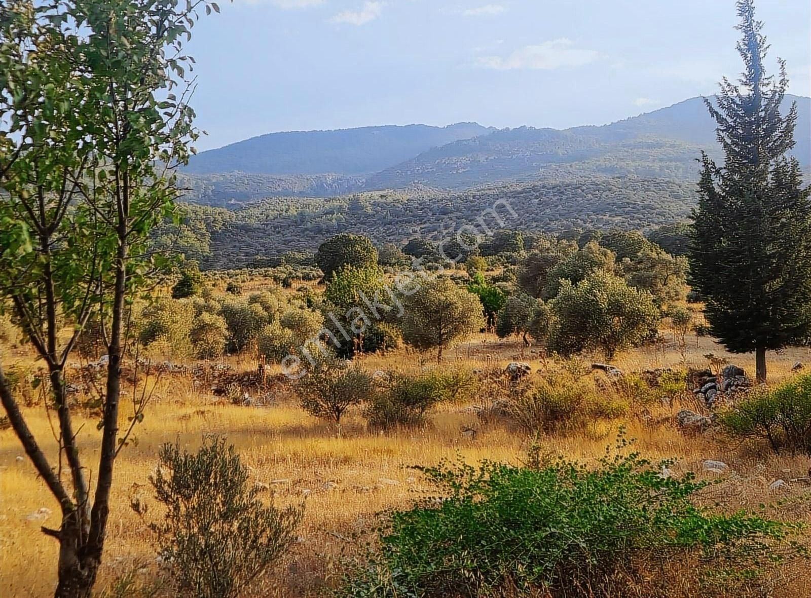 Gökben Mh.2074 M2 Tarla. - Görsel 19