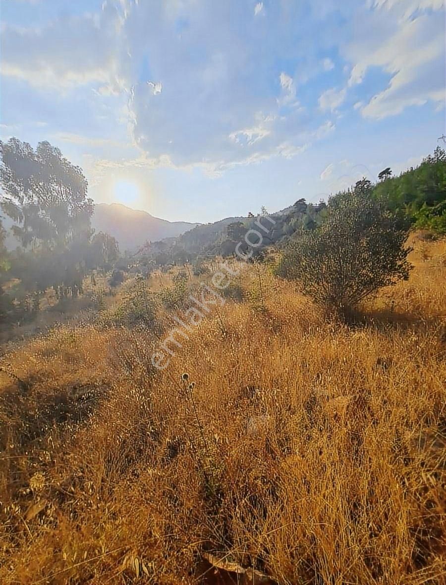 Gökben Mh.2074 M2 Tarla. - Görsel 4