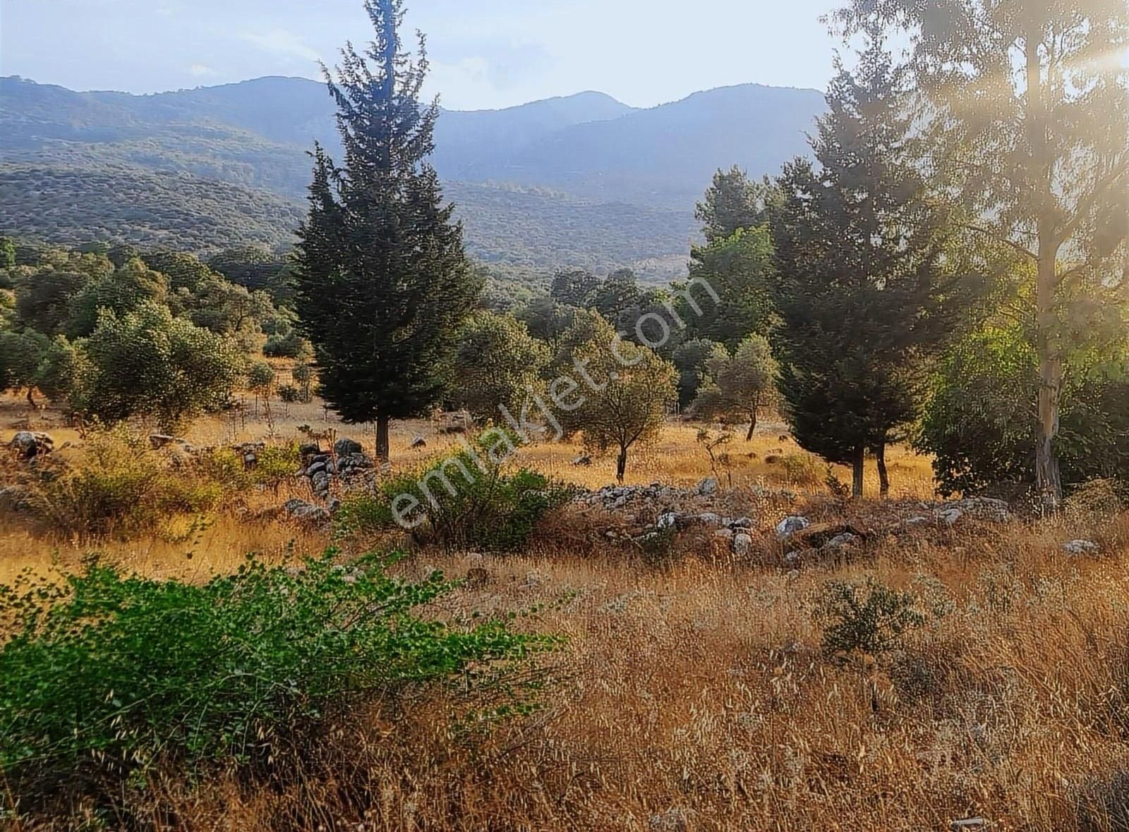 Gökben Mh.2074 M2 Tarla. - Görsel 22