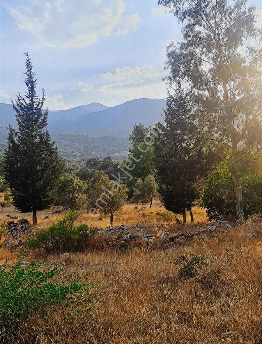 Gökben Mh.2074 M2 Tarla. - Görsel 15