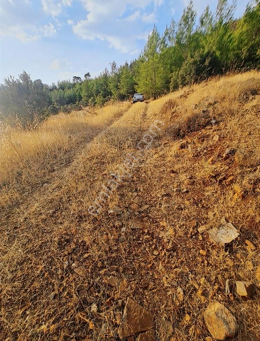 Gökben Mh.2074 M2 Tarla. - Görsel 18