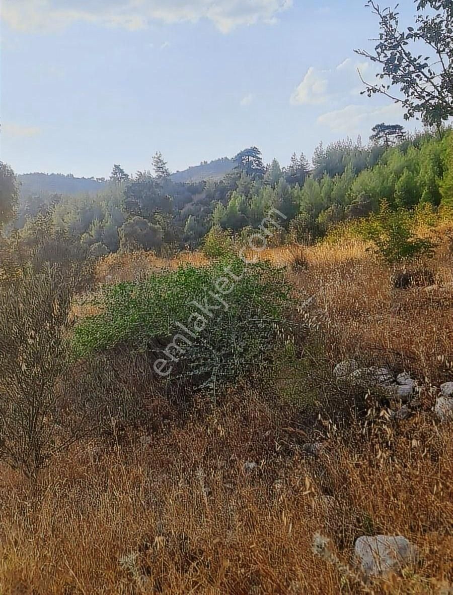 Gökben Mh.2074 M2 Tarla. - Görsel 10