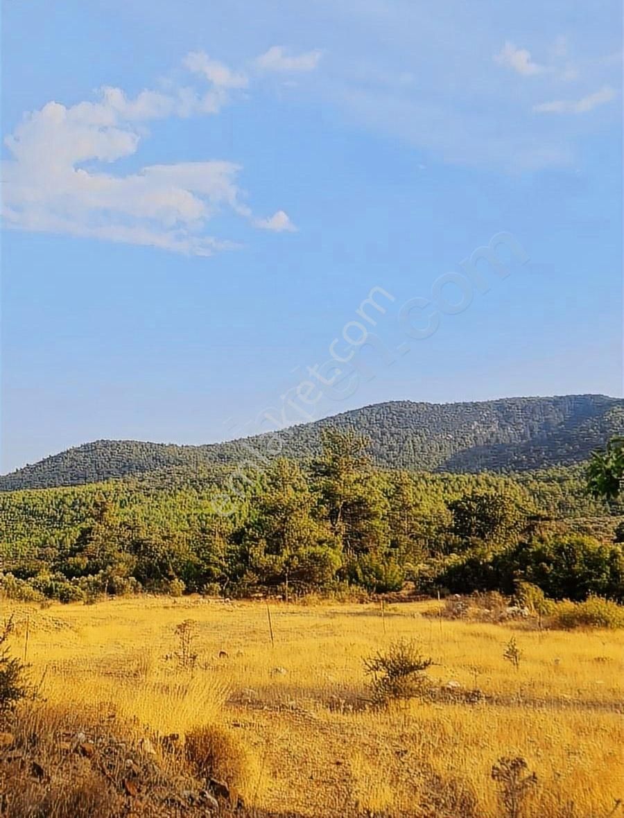 Gökben Mh.2074 M2 Tarla. - Görsel 8