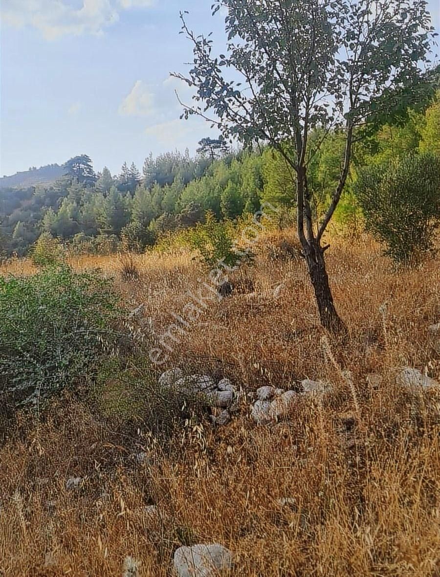 Gökben Mh.2074 M2 Tarla. - Görsel 21