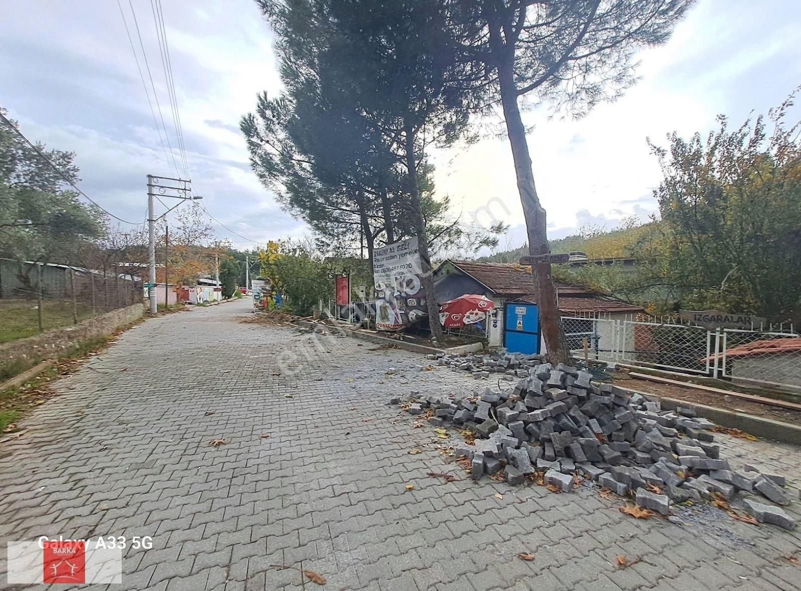 Çiçekli Köy, Doğa, Mehtap, Aşk, İkinci Bahar Sordular Neredesin? - Görsel 8