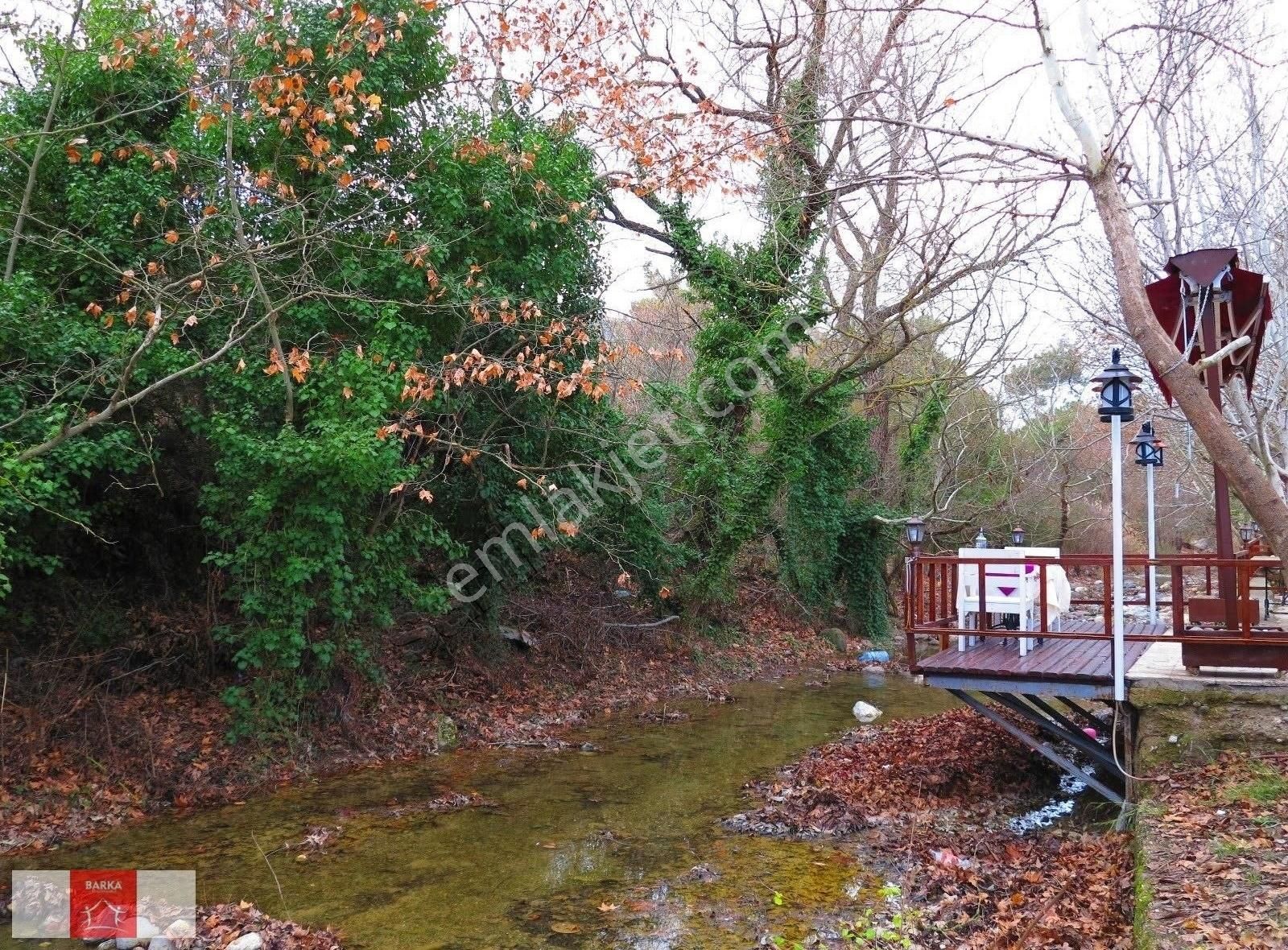 Çiçekli Köy, Doğa, Mehtap, Aşk, İkinci Bahar Sordular Neredesin? - Görsel 7