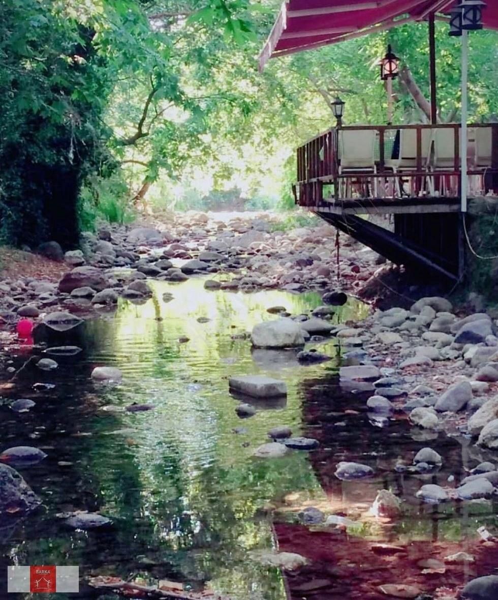 Çiçekli Köy, Doğa, Mehtap, Aşk, İkinci Bahar Sordular Neredesin? - Görsel 5