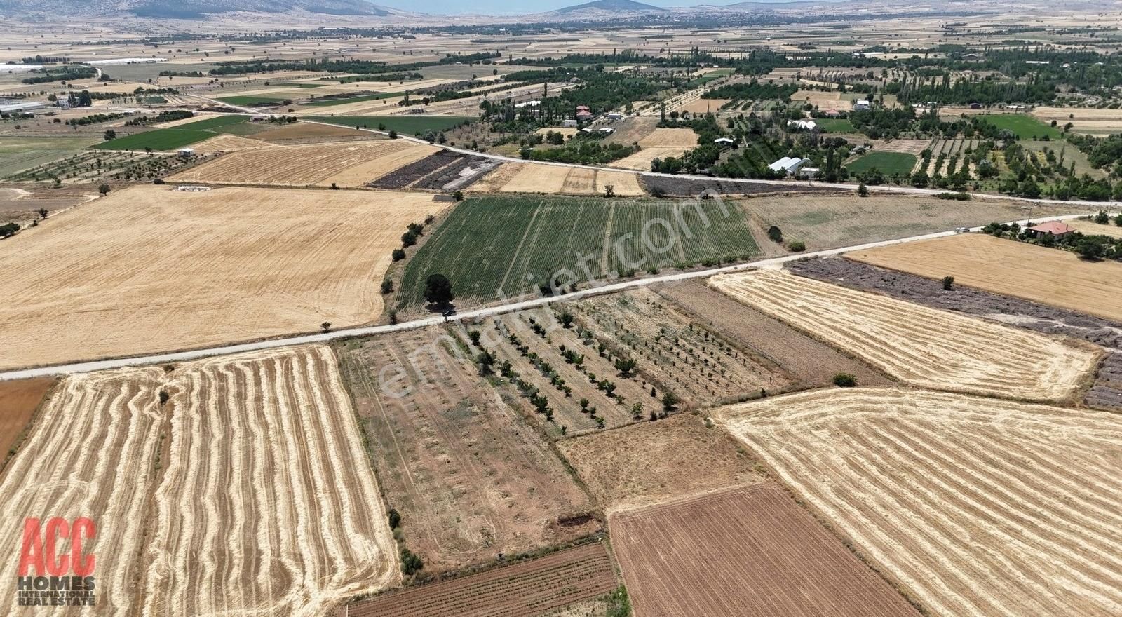 Acc Homes'tan Korkuteli Yeşilyayla'da Ceviz Olan 3239 M2 Tarla - Görsel 2