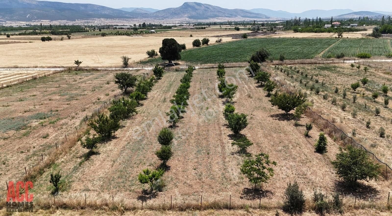 Acc Homes'tan Korkuteli Yeşilyayla'da Ceviz Olan 3239 M2 Tarla - Görsel 7