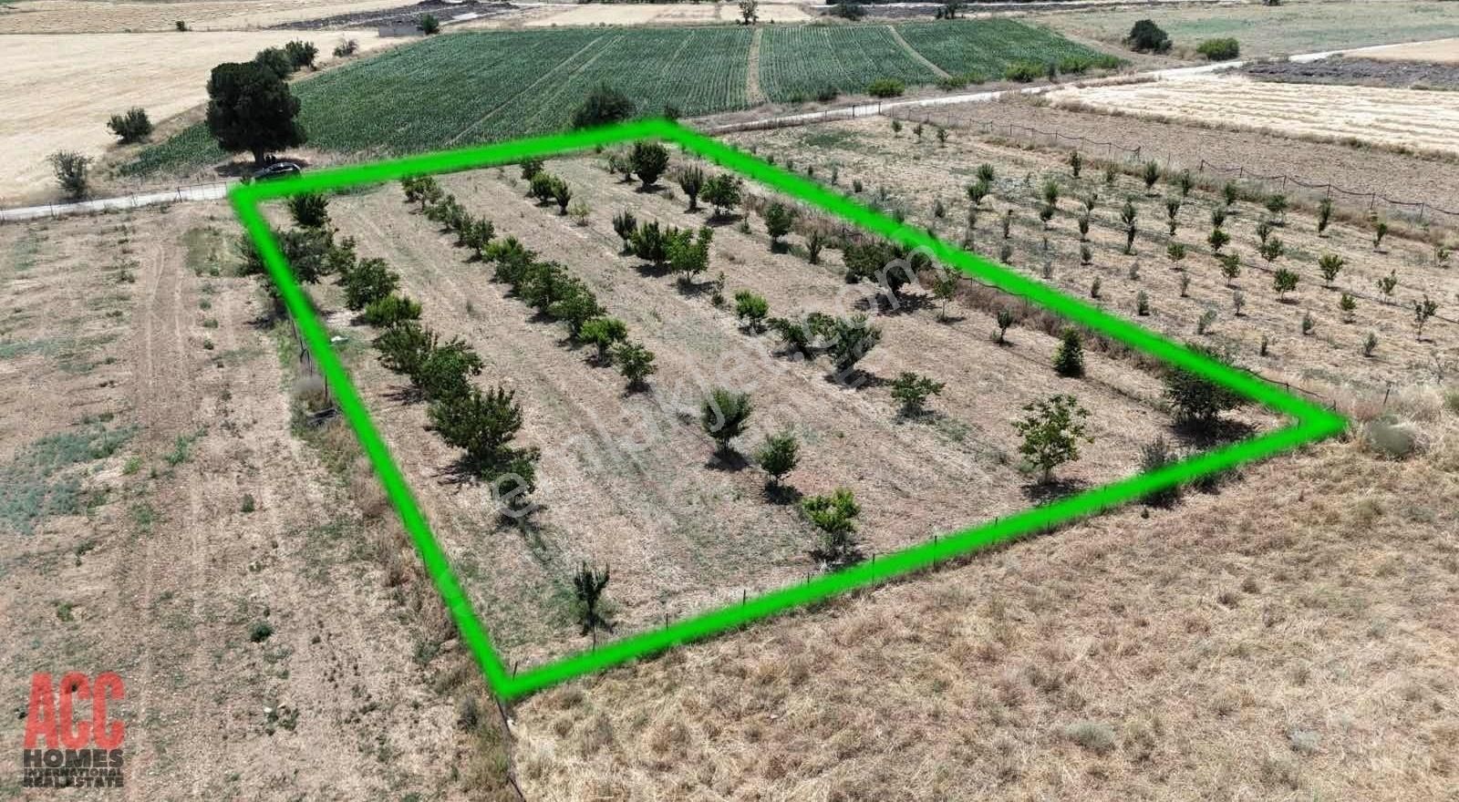 Acc Homes'tan Korkuteli Yeşilyayla'da Ceviz Olan 3239 M2 Tarla - Görsel 10
