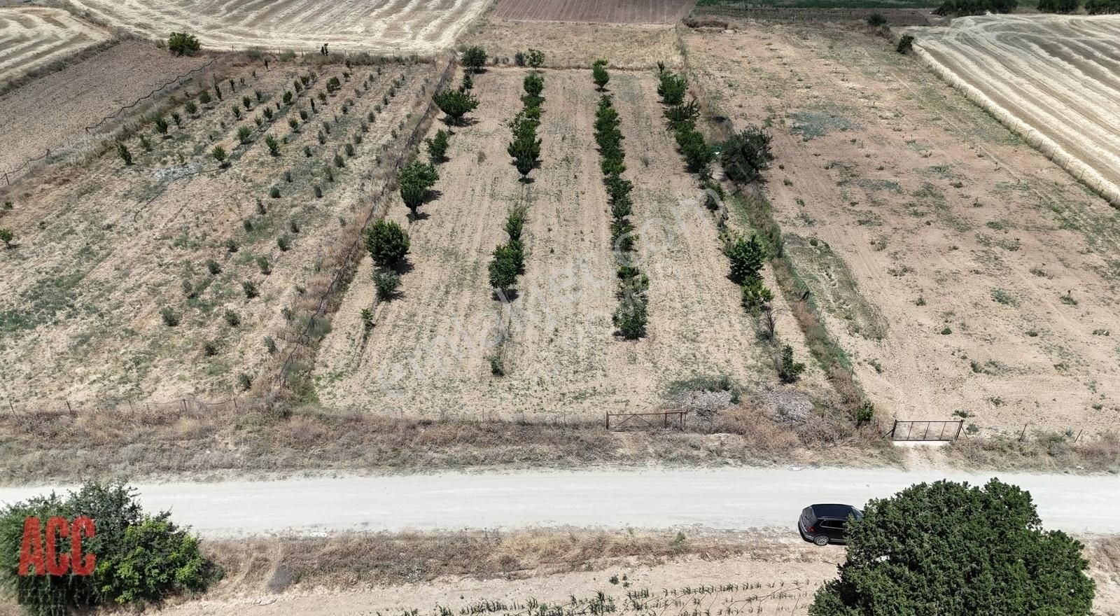 Acc Homes'tan Korkuteli Yeşilyayla'da Ceviz Olan 3239 M2 Tarla - Görsel 11
