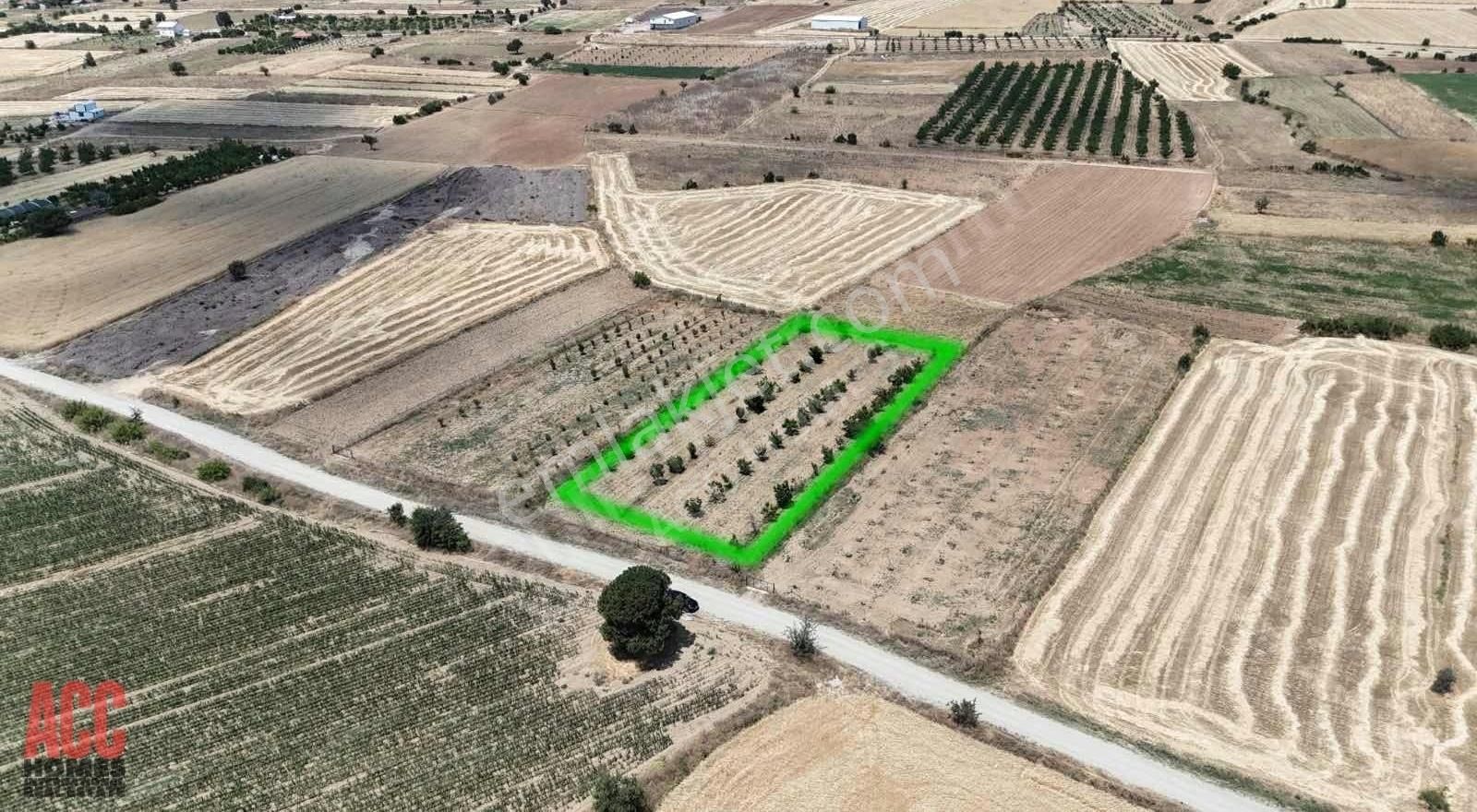 Acc Homes'tan Korkuteli Yeşilyayla'da Ceviz Olan 3239 M2 Tarla - Görsel 9