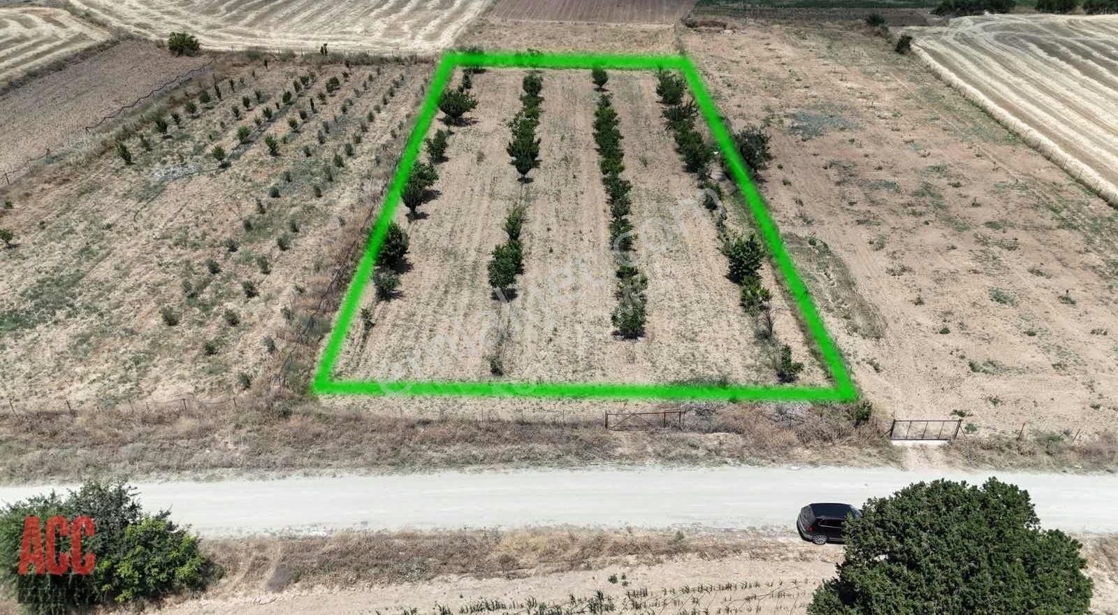 Acc Homes'tan Korkuteli Yeşilyayla'da Ceviz Olan 3239 M2 Tarla - Görsel 12