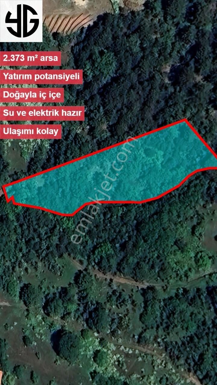 Soğukpınar Köyü’nde Doğayla Bütünleşen Yatırım Fırsatı - Görsel 4